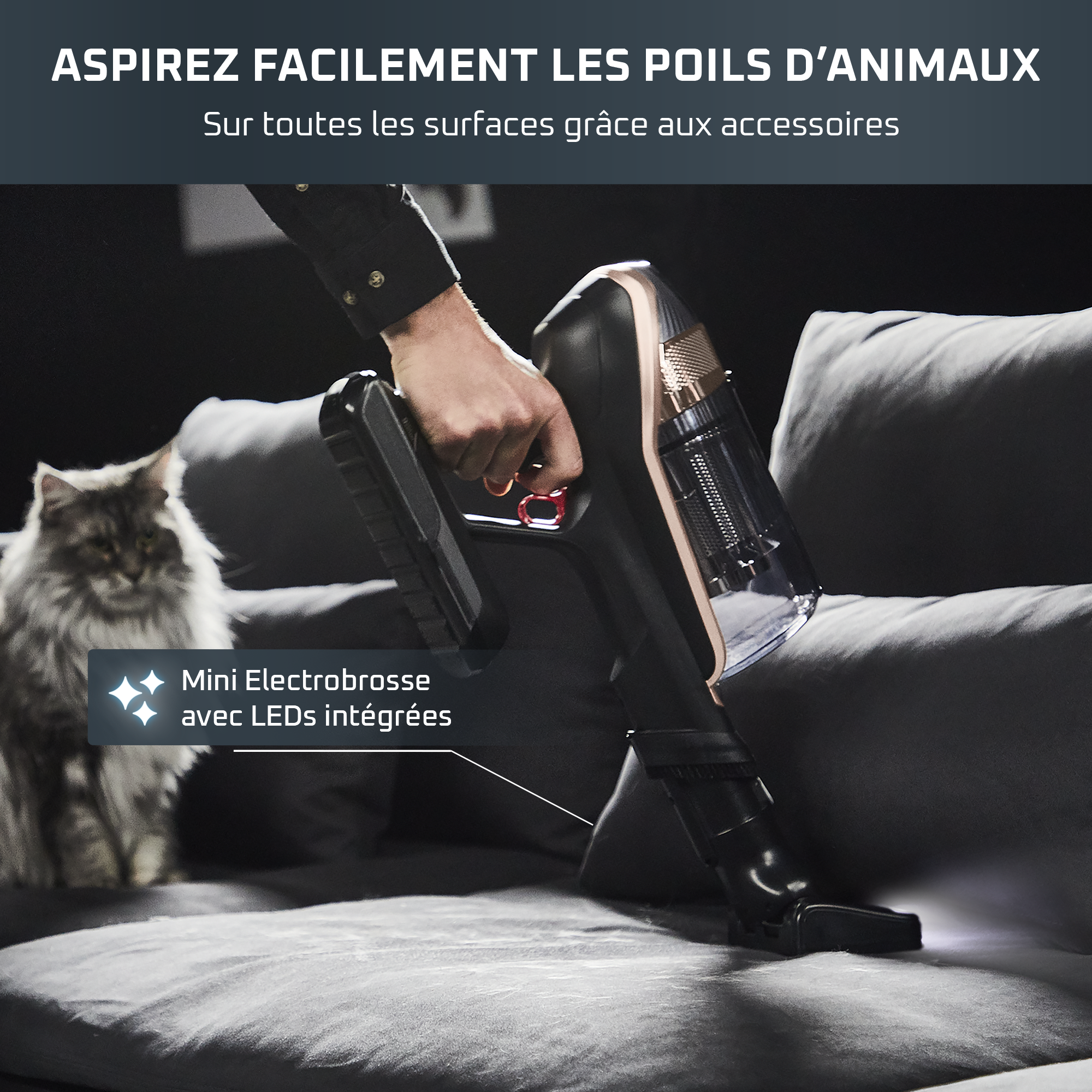 X-Force Flex 15.60, Aspirateur balai sans fil, 230AW, 80min, Animal