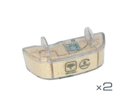 2 cartouches pour Steam Power RY65 & Clean & Steam RY75 - ZR005803