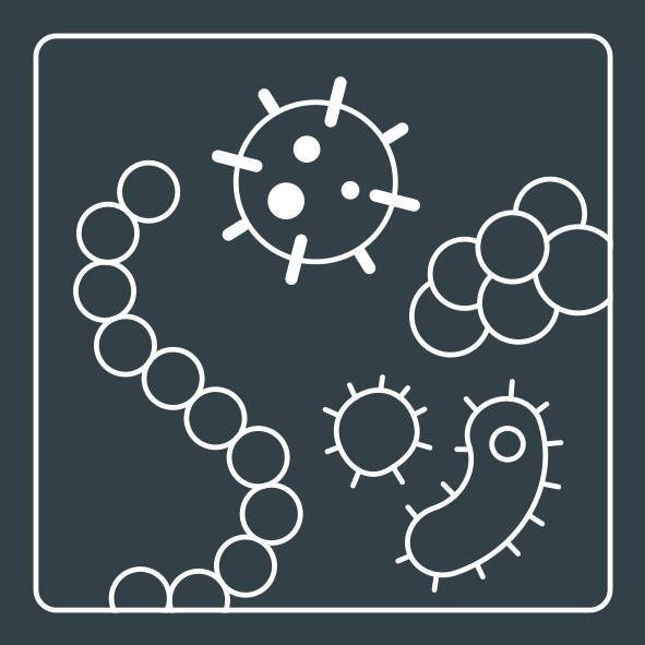 FILTRE 3EN1 : PREFILTRE, CHARBON ACTIF ET HEPA ALLERGY+ XD6270F0