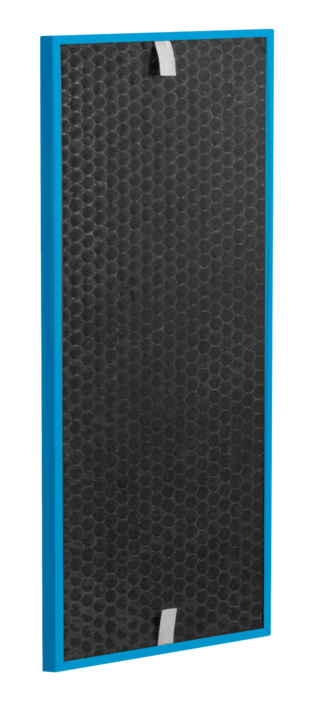 Filtre Carbon Captur Boost XL XD7161E0 pour Intense Pure Air XL