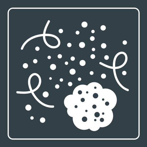 FILTRE 3EN1 : PREFILTRE, CHARBON ACTIF ET HEPA ALLERGY+ XD6270F0