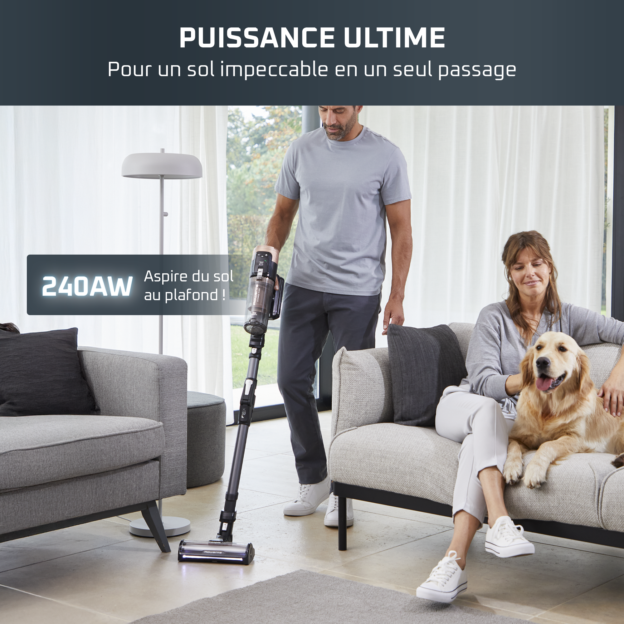 X-Force Flex 14.80, Aspirateur balai sans fil, 240 AW, 90 min, Animal
