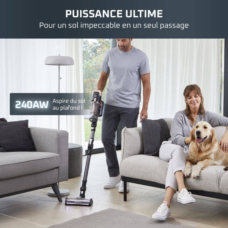 X-Force Flex 14.80, Aspirateur balai sans fil, 240 AW, 90 min, Animal