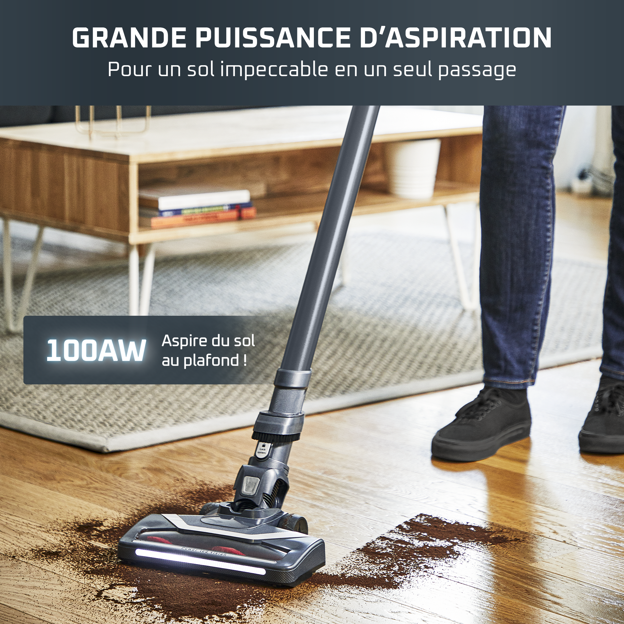 X-Pert 6.60, Aspirateur balai sans fil, 100W, 45min, Animal