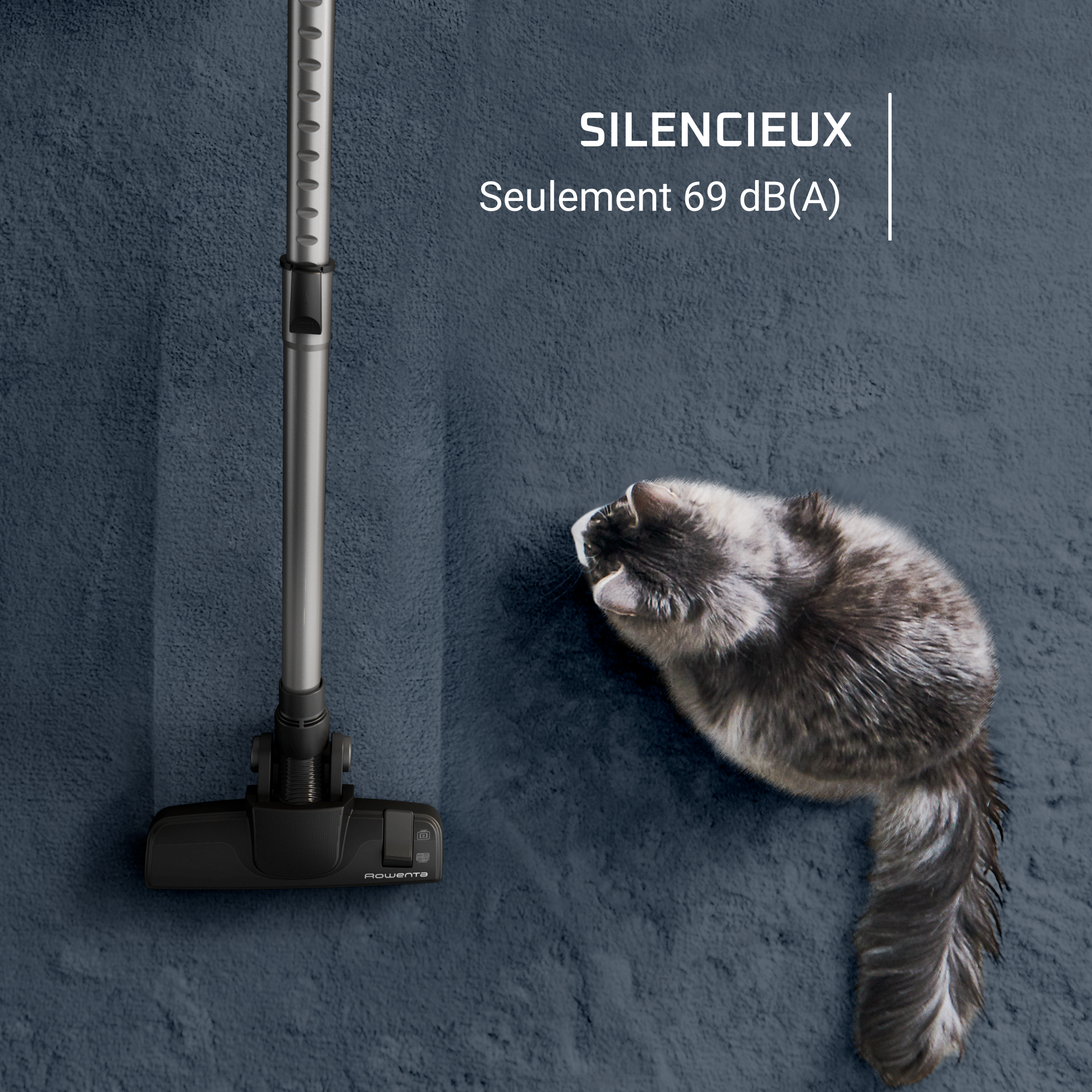 Silence Force Cyclonic, Aspirateur sans sac, Performant, Silencieux, 2,5L