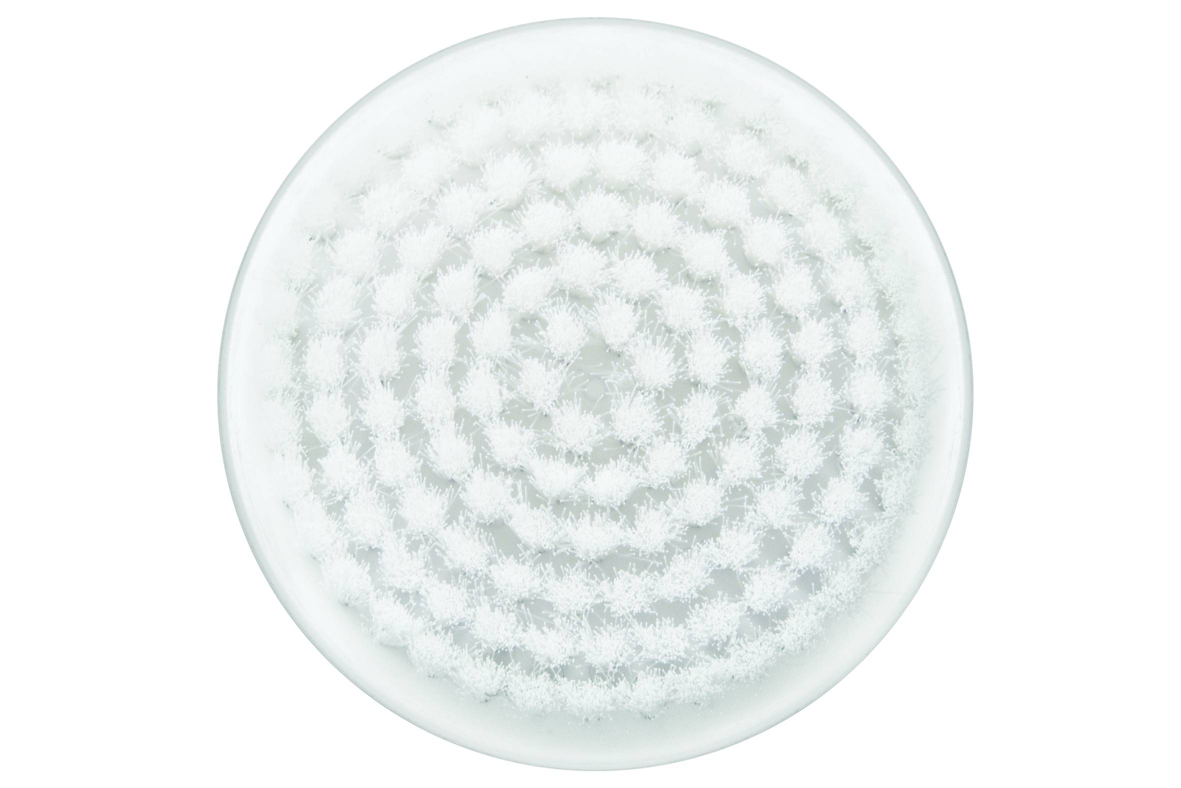 Embout brosse visage exfoliant XD4110F0