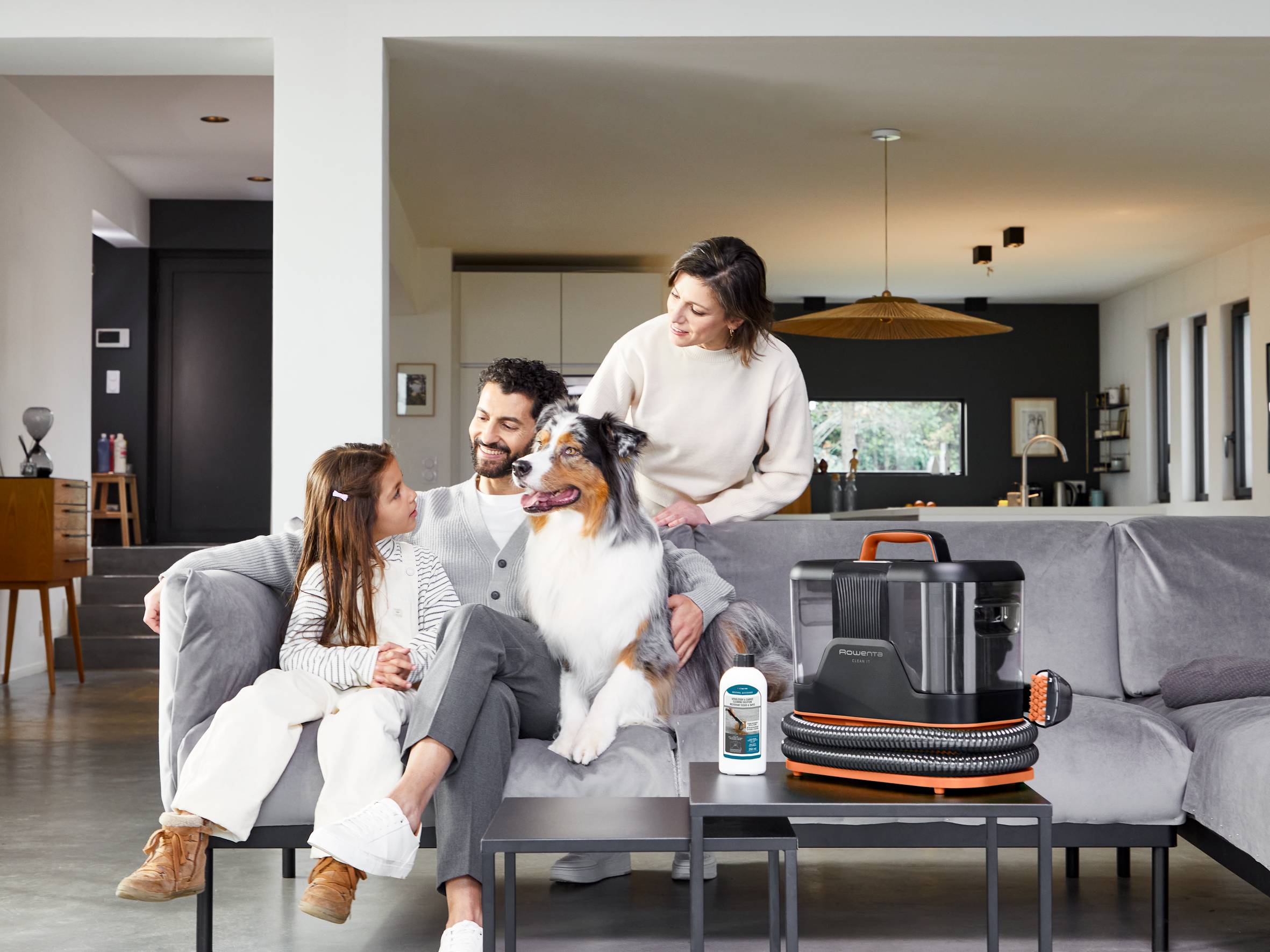 Nettoyant tissus et tapis - tâches animaux XD5320F0