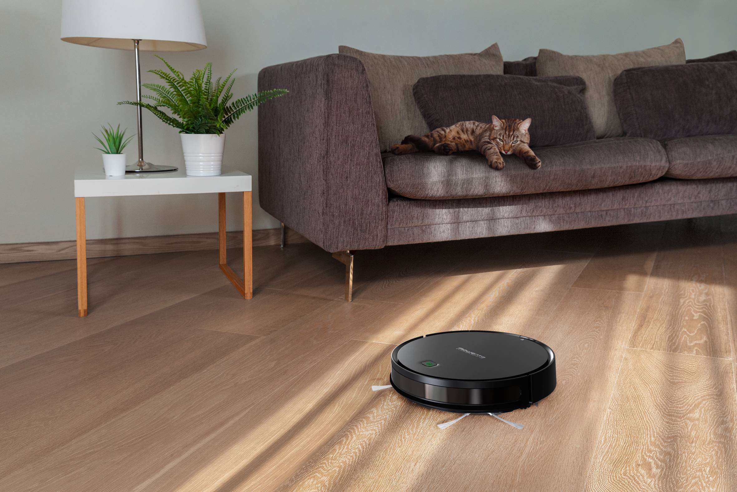 X-Plorer Serie 40 - Allergy Connect