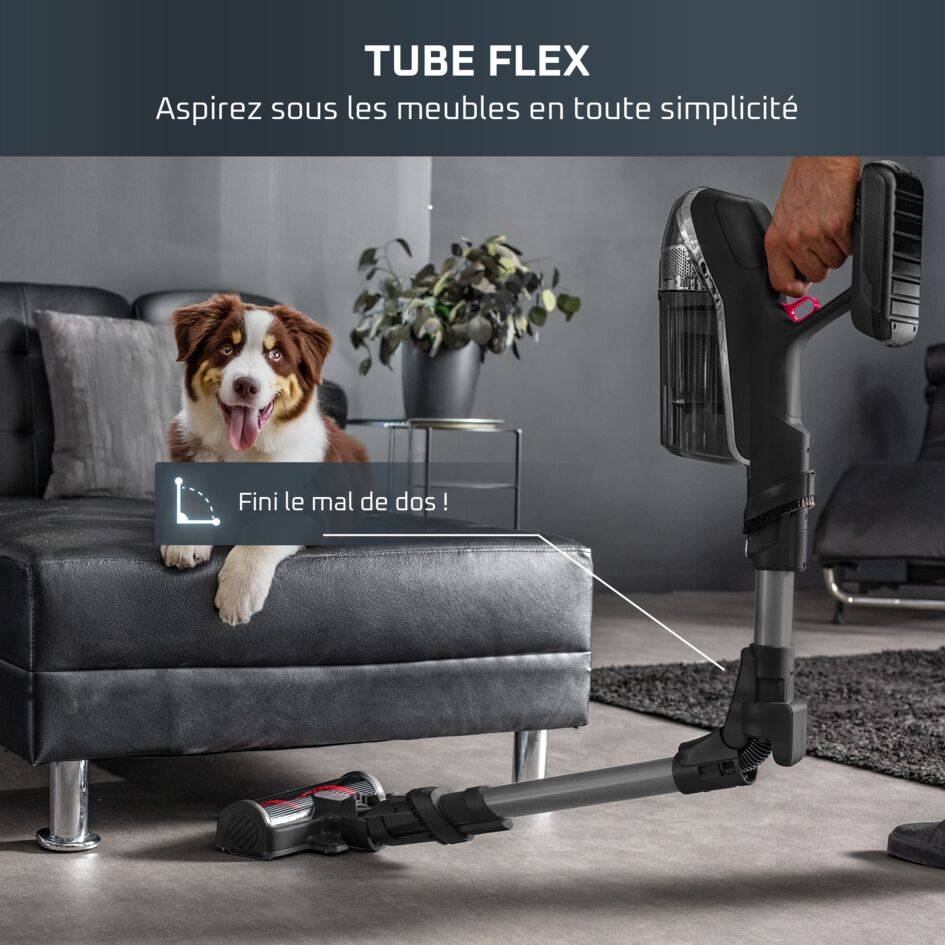 X-Force Flex 14.60, Aspirateur balai sans fil, 200AW, 70min, Animal