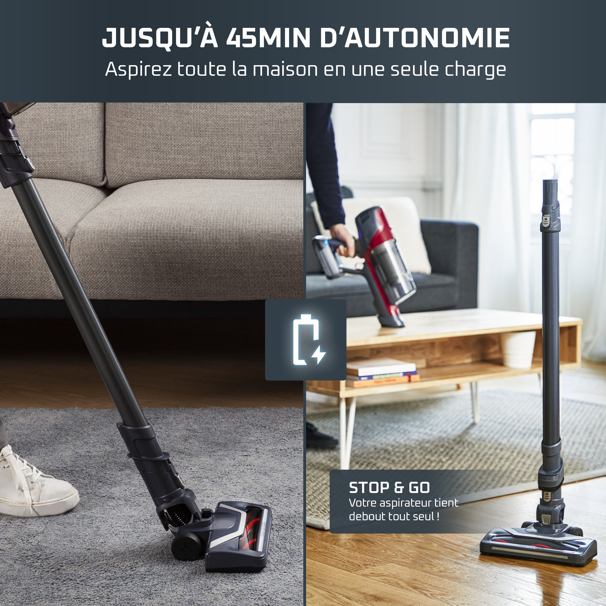 X-Pert 6.60, Aspirateur balai sans fil, 100W, 45min, Animal