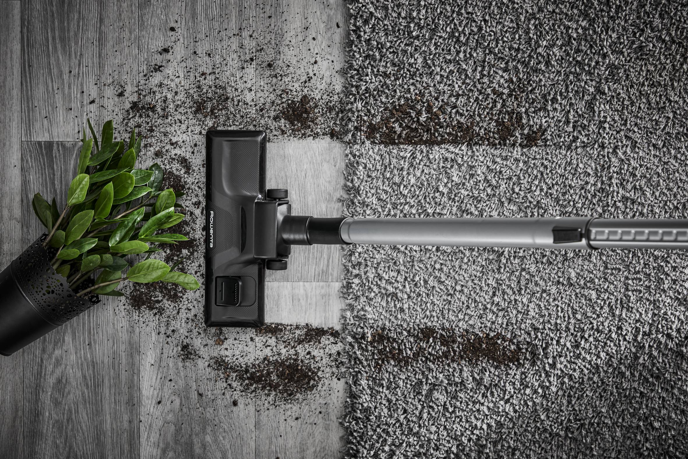 Silence Force, Aspirateur avec sac, 67&nbsp;dB(A), 450W, 4,5L