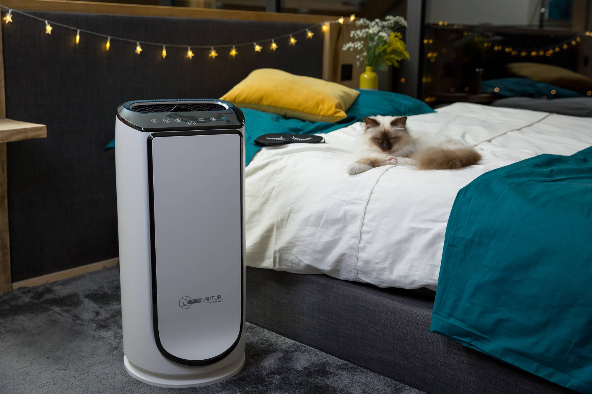 INTENSE PURE AIR CONNECT XL