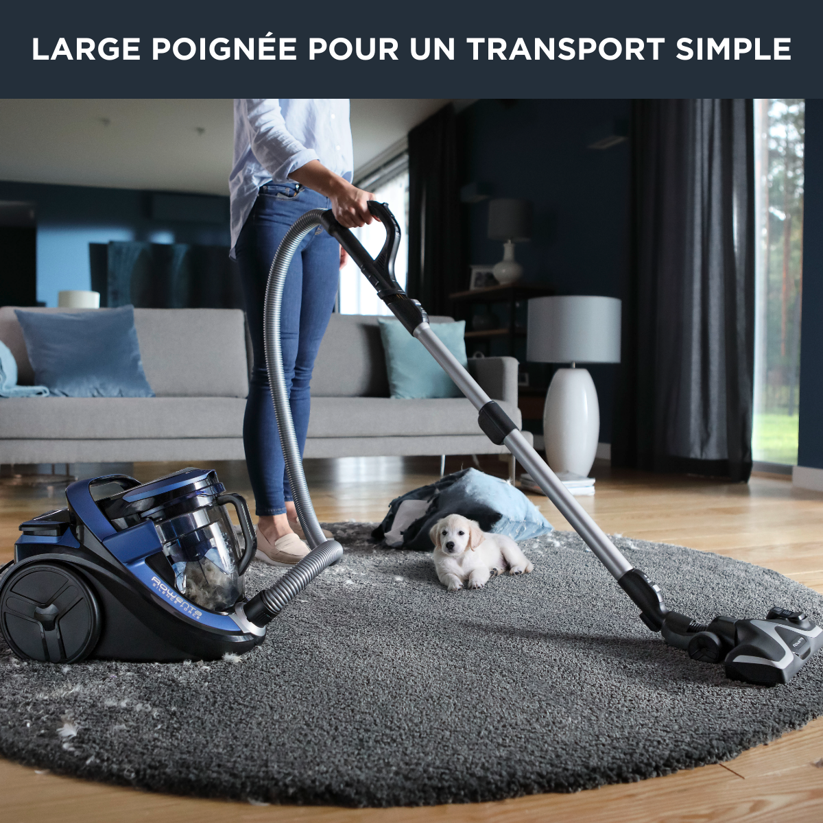 SILENCE FORCE CYCLONIC ANIMAL CARE PRO