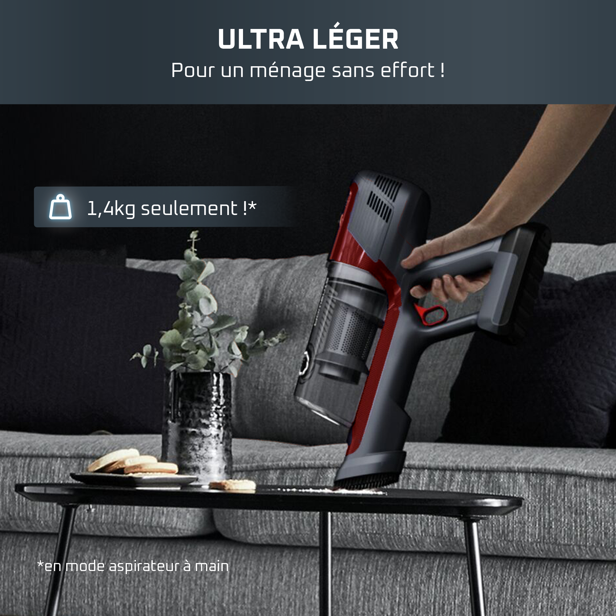 X-Pert&nbsp;6.60, Aspirateur balai sans fil, 100W, 45min, Animal