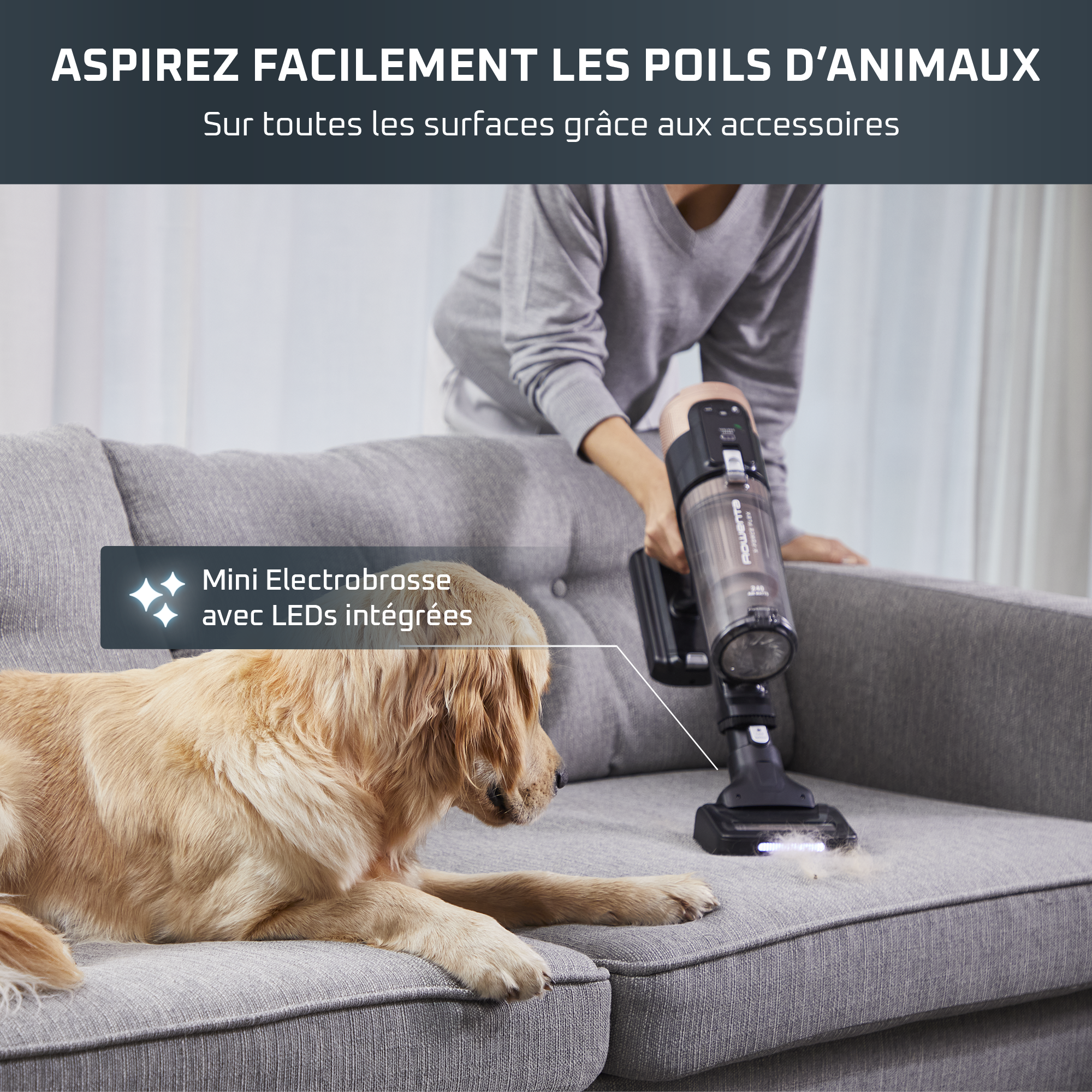 X-Force Flex 14.80, Aspirateur balai sans fil, 240 AW, 90 min, Animal