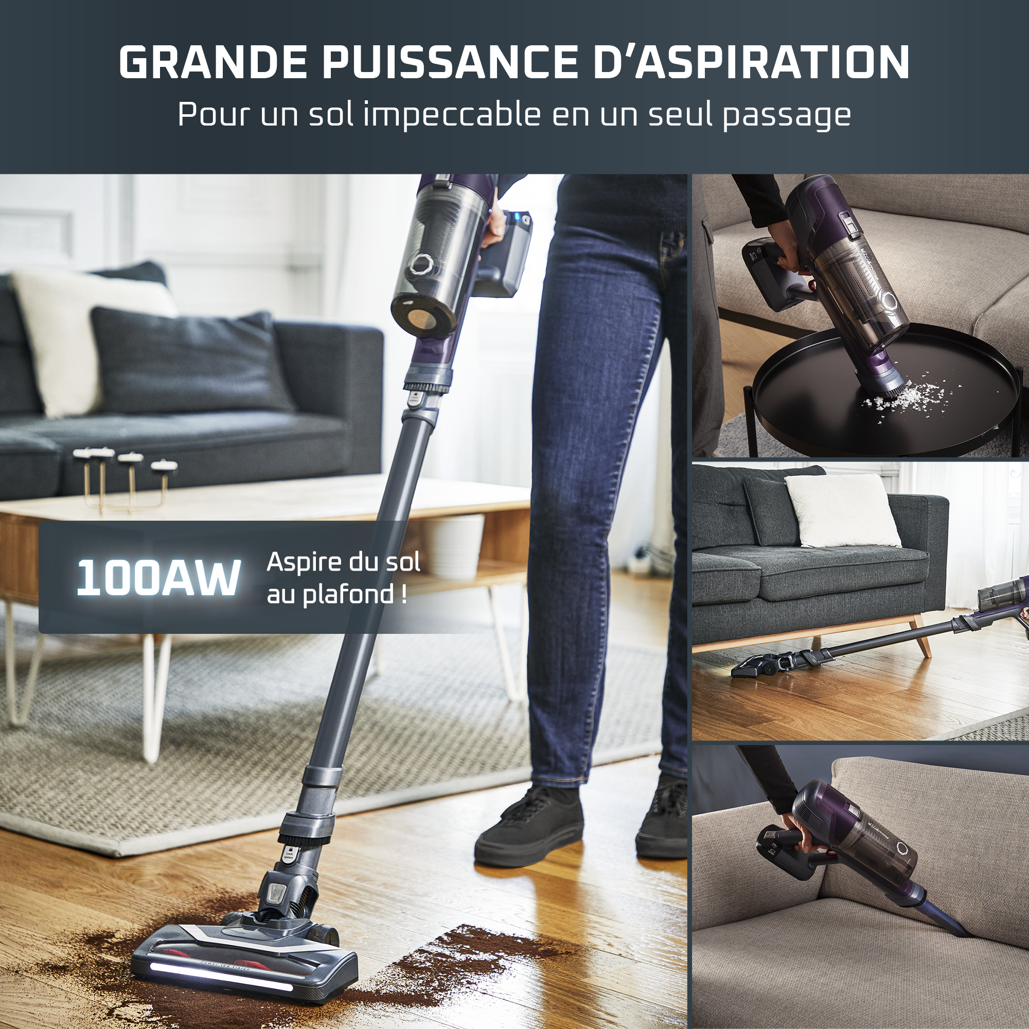 X-Pert 6.60, Aspirateur balai sans fil, 100W, 45min, Allergie