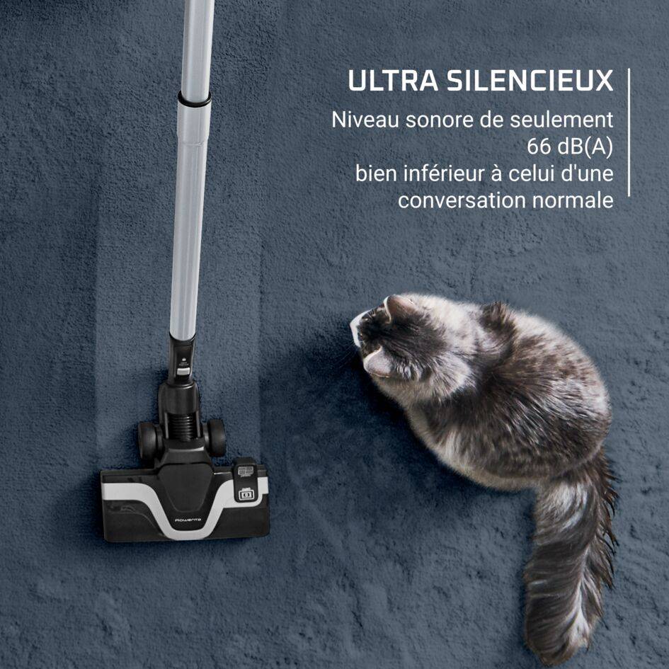 Green Force Cyclonic Effitech+, Aspirateur sans sac, 66 db(A), Puissant, 2,5L