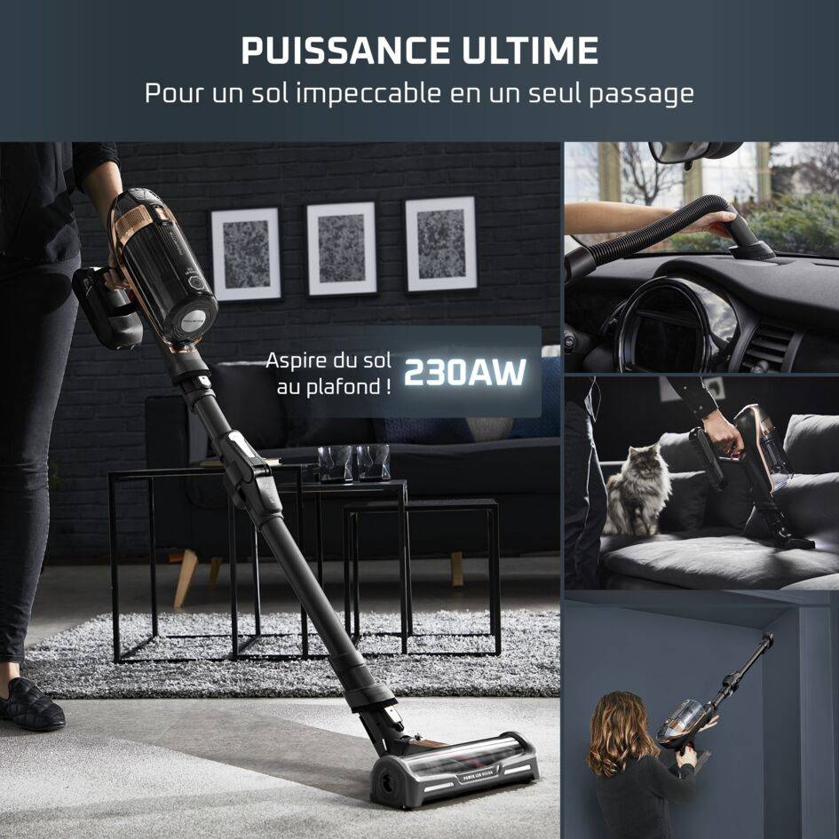 X-Force Flex 15.60, Aspirateur balai sans fil, 230AW, 80min, Animal