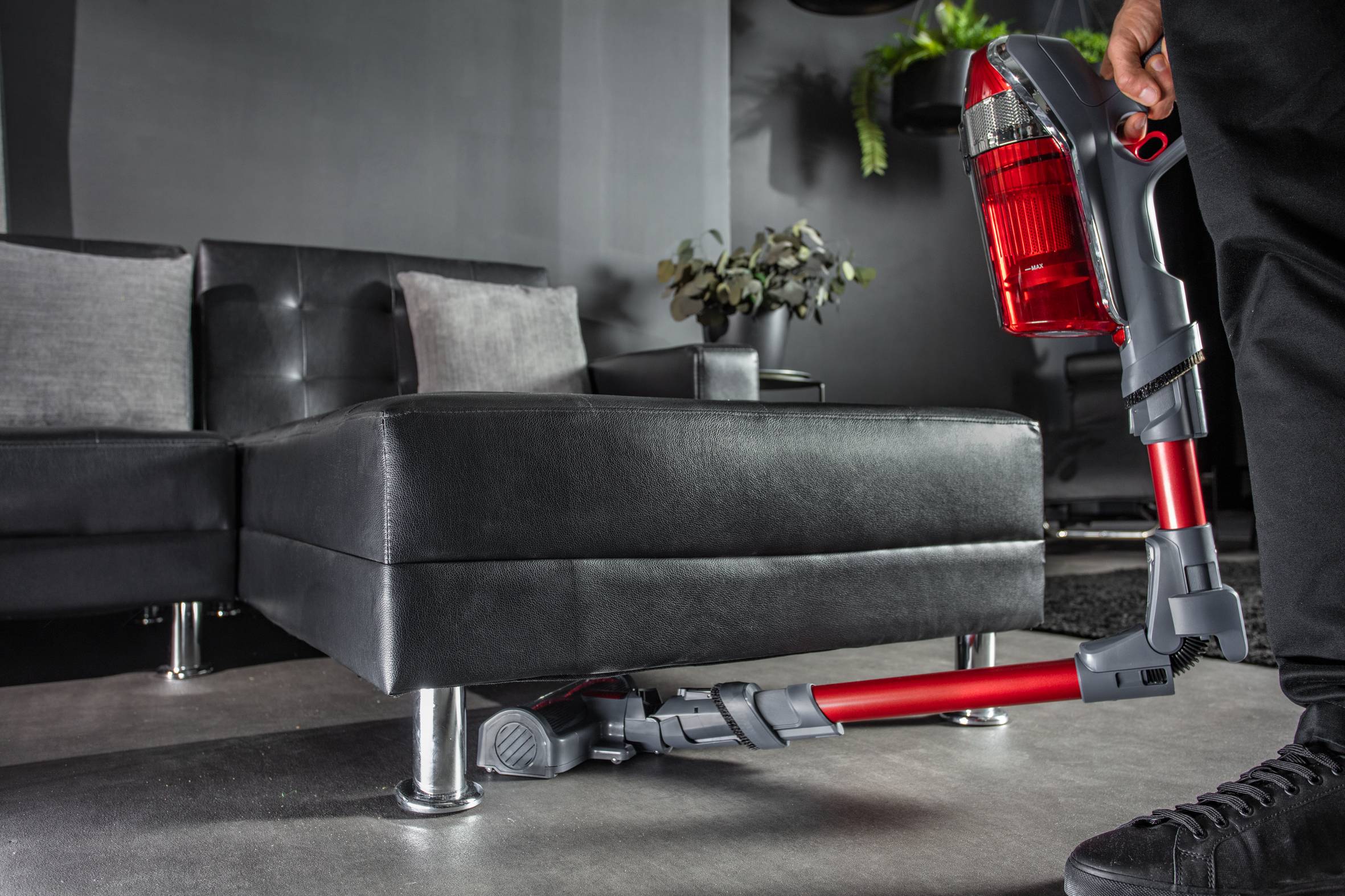 HANDSTICK CORDLESS X-FORCE 11.60 ANIMAL KIT