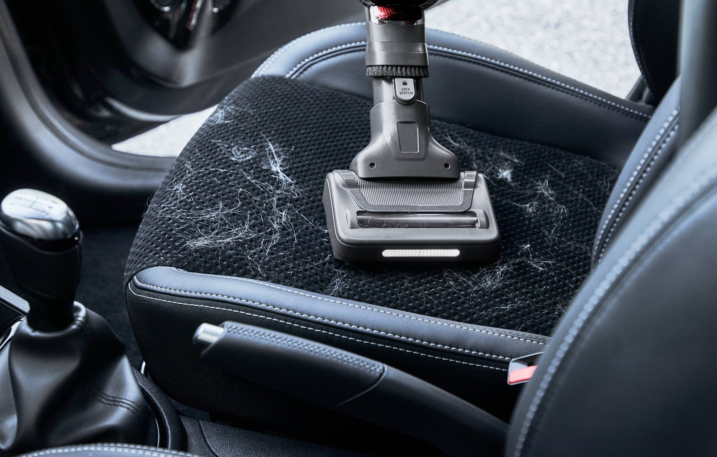 HANDSTICK CORDLESS X-FORCE 8.60 ANIMAL KIT